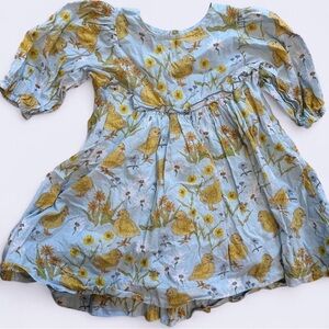 Pink Chicken Blue Dress with Yellow Duck Print